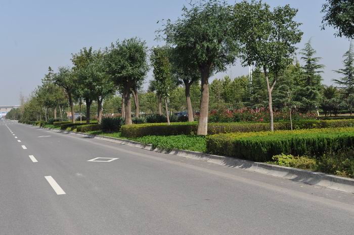 2011-10-13�}��· (4).jpg